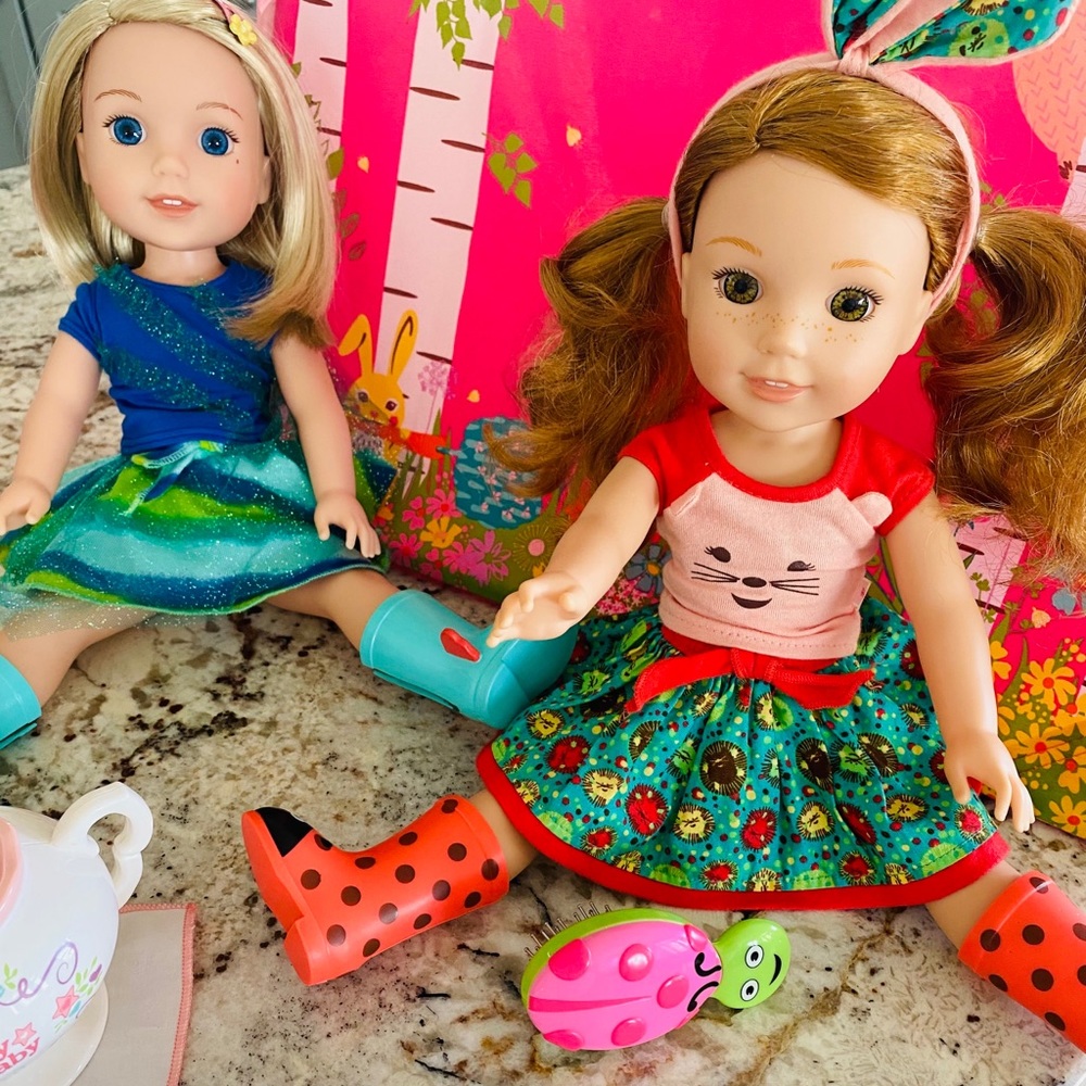Authentic American Girl Wellie Wishers Lot!!!